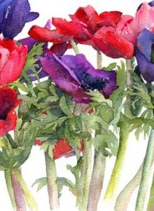 Mixed Anemones By Vivienne Cawson