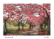 Cherry Blossom Walk by Morna Rhys
