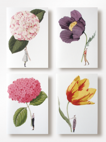 IN BLOOM - NOTECARDS 1 By Laura Stoddart