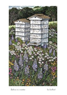 Beehives in a meadow by Sue Scullard